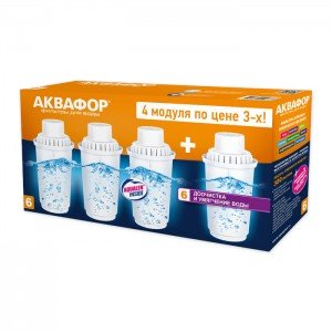 Сменный модуль В6 (В100-6) (комплект из 4-х штук) для кувшинов