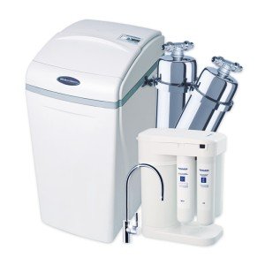 Умягчитель Аквафор WaterBoss 900 + Викинг 2 шт. + Морион + Соль 2 мешка